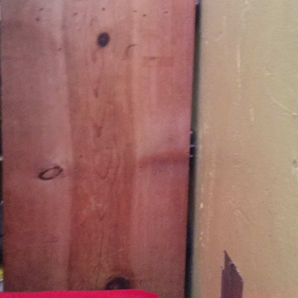 Meet your Posher, Addie